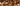 What is Piedmont Hazelnut?