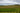 Rows of green trees planted in neat, curving lines cover rolling hills under a cloudy, overcast sky. The landscape appears to be an orchard or vineyard, with trees evenly spaced across the gentle slopes. - AI generated text