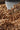 A close-up of roasted hazelnuts being poured from a metal scoop onto a large pile of hazelnuts. - AI generated text