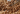 Close-up of roasted hazelnuts being poured from a metal scoop onto a pile of more hazelnuts, showing their brown shells and smooth texture. - AI generated text