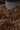 A large metal scoop pours roasted hazelnuts onto a pile of similar hazelnuts, filling the frame with round, brown nuts. - AI generated text
