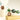 Pearl Milk Gianduia 8 pcs